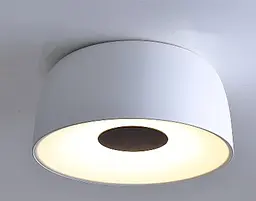 Світильник настінно-стельовий світлодіодний накладний Brille BL-841C/32W WW WH - мініатюра 3