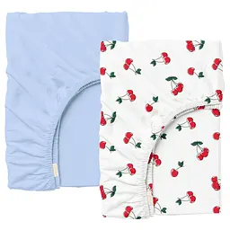 Набір простирадло на резинці 180х200 BERRY COSAS (4822052299333)