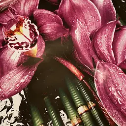 Кухонний фартух Фіолетові Орхідеї вінілова наклейка для кухні краплі роса Квіти Happy Pocket Z181321 - мініатюра 10