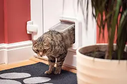Відкидна стулка для кішок SureFlap з мікрочіпом Sure Petcare, біла, сканує посвідчення особистості тварини при вході Б/в - мініатюра 3