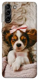 TPU чохол Demsky Sleepy spaniel для Samsung Galaxy S21+