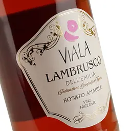 Вино ігристе Viala Lambrusco dell Emilia IGP рожеве напівсолодке 0.75 л - мініатюра 5