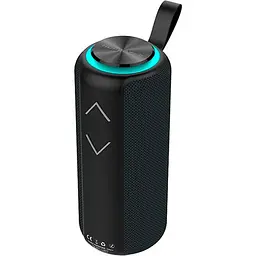 Портативна акустика Hopestar P30 Pro бездротова чорна - мініатюра 2