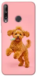 TPU чохол Demsky Happy poodle для Huawei P40 Lite E / Y7p (2020)