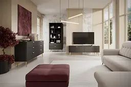Тумба під телевізор Perfect Home Ланте / Lante 2-дверна з золотими ніжками 2D/163 Чорний (PFH-091194) - мініатюра 7