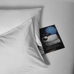 Набір наволочок Moon&Star Microfiber Snowy Microfiber 50х50 см 2 шт - мініатюра 2