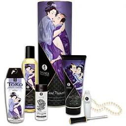 Подарунковий набір Shunga CARNAL PleasureS
