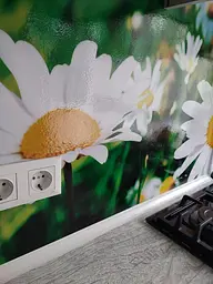 Кухонний фартух Сонячні ромашки вініловий ПВХ наклейка для кухні зелений 60х250 см Happy Pocket Z180273 - мініатюра 2