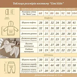 Утеплений дитячий костюм для малюків Сіті Кідс зріст 92 см (18 - 24 місяців) Betis Сірий - мініатюра 2