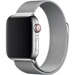 Ремінець DK CDK для Apple Watch 44mm (Series 4 / 5 / 6 / SE1 / SE2) Метал Milanese Loop (05527) (silver)