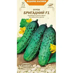 Насіння огірка Насіння України Бригадний F1, 0.5 г (597300)