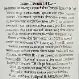 Вино Cesari Cabernet Trevenezie IGT Essere червоне сухе 0.75 л - мініатюра 4