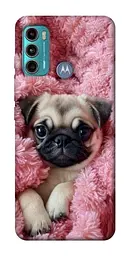 TPU чохол Demsky Мопс у ніжностях для Motorola Moto G60