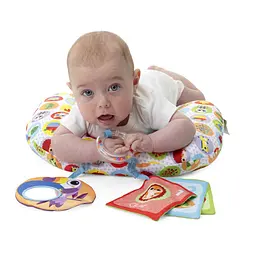 Подушка-ігровий центр Chicco Animal Tummy Time (11351.00) - мініатюра 6