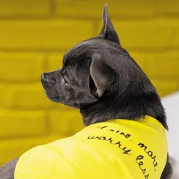 Борцовка Pet Fashion Puppy для собак, розмір XS2, жовта - мініатюра 6