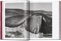 Sebastiao Salgado. Genesis. 45th Edition - мініатюра 3