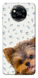TPU чохол Demsky Cute Yorkie для Xiaomi Poco X3 NFC / Poco X3 Pro