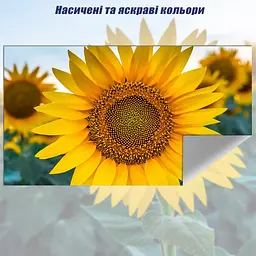 Настінний світловідбиваючий екран для проектора 100" дюймів PVC HD - мініатюра 4
