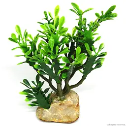 Штучна рослина кактус Hobby Euphorbia M 15x7x17см (36999) - мініатюра 2