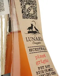 Вино ігристе Lunaria Ancestrale Spumante Pinot Grigio біле брют натюр 0.75 л - мініатюра 4