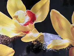 Кухонний фартух Жовті Орхідеї на чорних каменях для кухні наклейка ПВХ Квіти 60х200 см Happy Pocket Z180557 - мініатюра 10