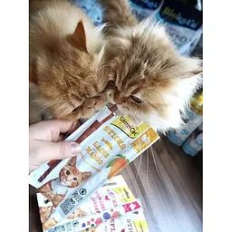 Ласощі GimCat М'ясні палички для котів з лососем та манго, 3 шт. по 5 г - мініатюра 3