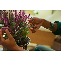 Ножиці Fiskars Plant Care для обрізки кімнатних рослин (1075315) - мініатюра 6