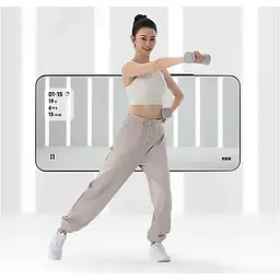 Розумні гантелі MiJia Intelligent Dumbbell Light Sand (MJYL01YMS) [165191] - мініатюра 6