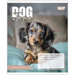 Зошит шкільний Yes Dog too pup А5 12 аркушів коса лінія 25 шт. (768733) - мініатюра 5