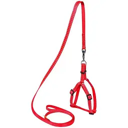 Шлея для собак з повідцем Dog Extremе регульована, нейлон 40-55х1,5/115 см, червоний (7033)