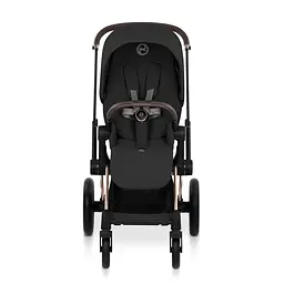 Візок Priam 5.0 2 в 1 RG Sepia Black - мініатюра 3