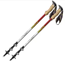 Трекінгові палиці Vipole Trekker Cork (S25 09) (DAS303450)
