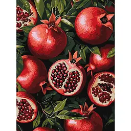 Картина за номерами "Гранат у розрізі" art_selena_ua KHO5731, 30х40 см