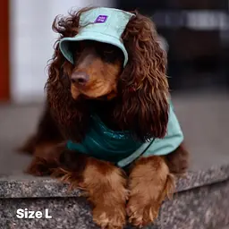 Панама для собак Hat-Dog Олива вельвет (L) - мініатюра 5