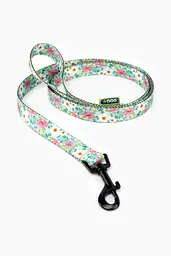 Повідець ТМ HIDOG Flawers mint green , ширина 20 мм (довжина 152 см) (2100102374011A)(SN) shop (2100102374011)