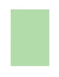 Папір кольоровий А3 80 г/м2 интенсив Rey Adagio Bright Green 81 яскраво-зелений (500) (2500)