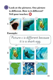 Ladybird Readers. Level 3. Sharks - мініатюра 5