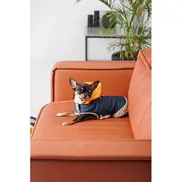 Шлея-жилет Pet Fashion Poppy для собак розмір XS2 - мініатюра 6