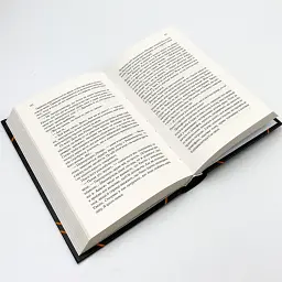 Сім смертей Евелін Гардкасл - Стюарт Тертон | Vivat, книга українською, нова, тверда - мініатюра 3