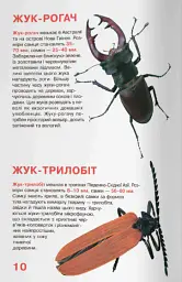 Велика книжка. Жуки - Олег Зав'язкин - мініатюра 4