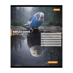 Упаковка зошитів 1В Inner strength А5/24 кл. 20 шт. (768960) - мініатюра 4