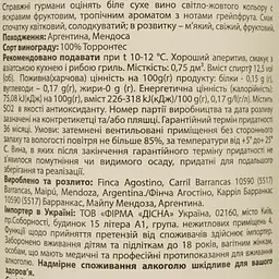 Вино Tierra Telteca Torrontes біле сухе 0.75 л - мініатюра 4