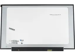Матриця 17.3" NT173WDM-N25 1600х900, 30pineDP, LED, SLIM без планок та вушок, матова, роз'єм справа внизу для ноутбука