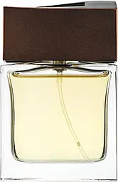 Парфумована вода Brioni Brioni 60 мл