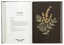 Флорографія. Ілюстрований довідник з вікторіанської мови квітів — Джессіка Ру | ArtHuss, книга українською, нова, тверда - мініатюра 4
