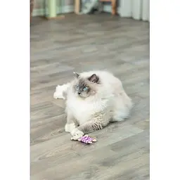 Іграшка Trixie Ведмідь тканинний з котячою м'ятою для котів 12 см - мініатюра 8