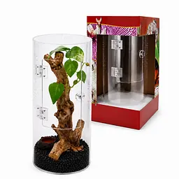Тераріум для комах та павуків Hobby Terra Fix & Easy Insect Line 15x15x30 см акриловий 360° (36028)