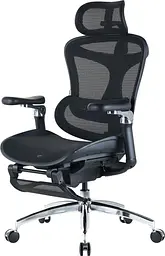 Офісне крісло Sihoo DORO C300 Pro Mesh Black with footrest (DORO-C300-PRO-M101-JT) - мініатюра 4