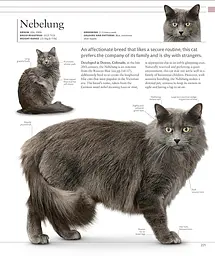 The Cat Encyclopedia - мініатюра 9