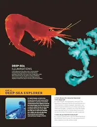 Eyewitness Encyclopedia of Animals - мініатюра 4